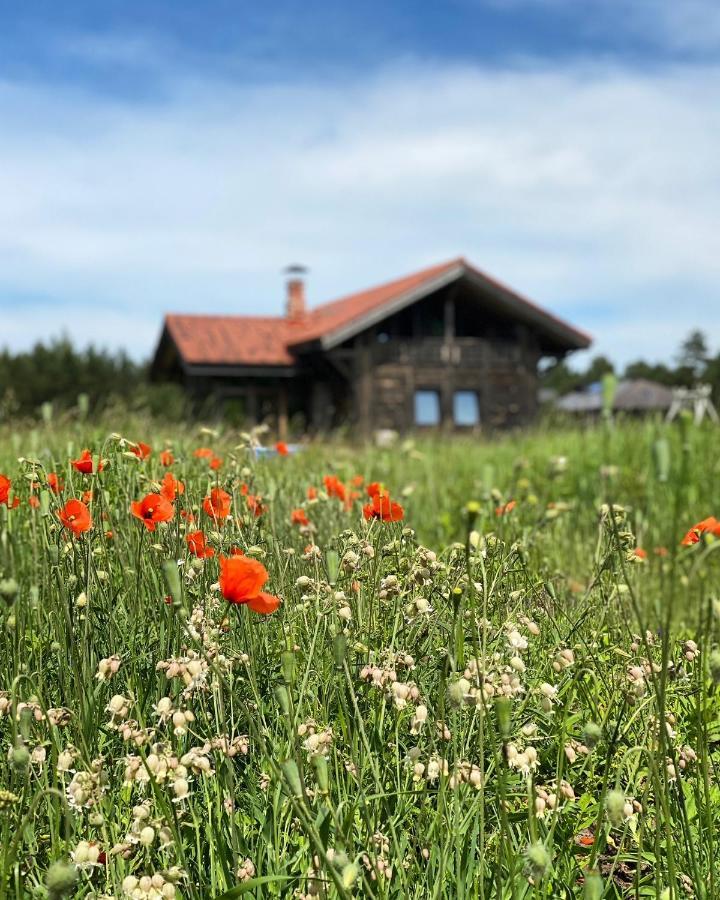 Stella Villa Ziemupe Exteriör bild