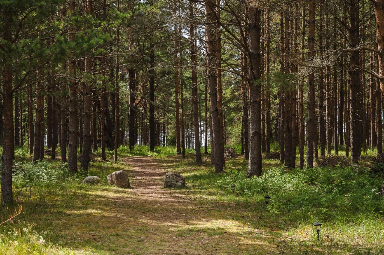 Stella Villa Ziemupe Exteriör bild